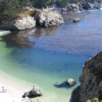 Guided 2-Hour Point Lobos Nature Walk - Starting Point and Meeting Logistics at Carmel-by-The-Sea