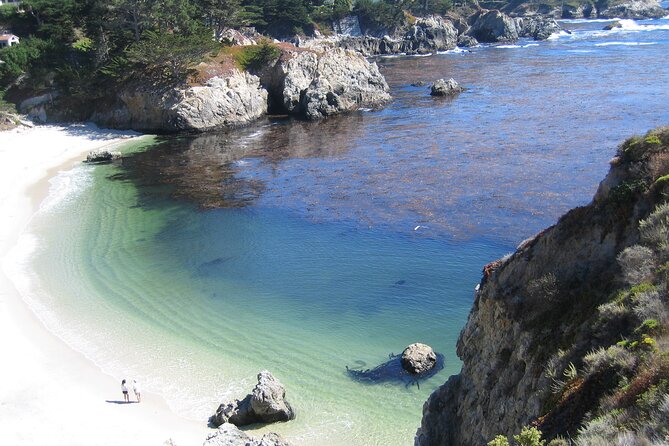 Guided 2-Hour Point Lobos Nature Walk - Starting Point and Meeting Logistics at Carmel-by-The-Sea