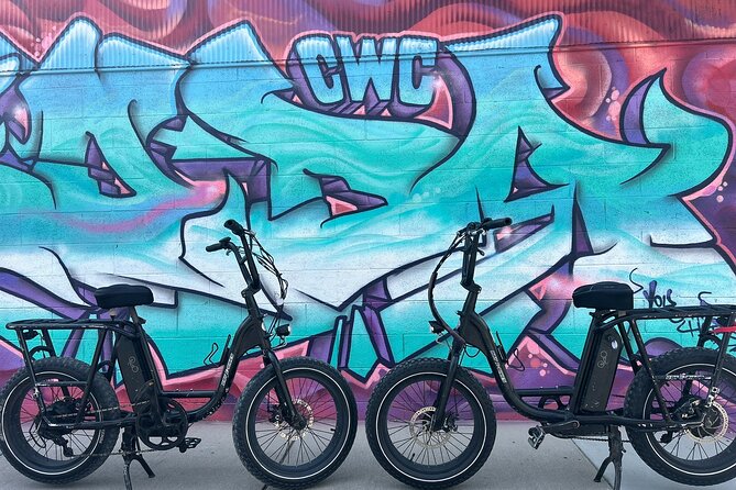 Guided Asheville E-bike Tour of River Arts, Mountains and Murals - Exploring French Broad River Park and Waterfront Trails