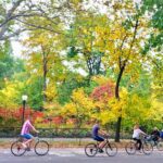 Guided Central Park Bike Tour 2 Hours - Convenient Departure from Midtown Manhattan