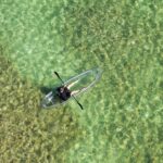 Guided Clear Kayak Eco-Tour Near Key West - Exploring the Florida Keys Marine Sanctuary