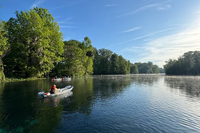 Guided Clear Kayak Tours on the Silver River - Unique Features of the Silver River Guided Tour