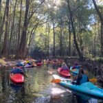 Guided Congaree National Park Kayak Tour - Starting Point at Kingsnake Trailhead in Gadsden