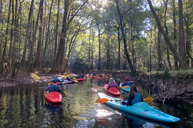 Guided Congaree National Park Kayak Tour - Starting Point at Kingsnake Trailhead in Gadsden