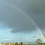Guided Day Tour of Giant's Causeway from Belfast by Comfortable Coach - Learning About Irish Whiskey at Bushmills Distillery