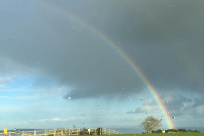 Guided Day Tour of Giant's Causeway from Belfast by Comfortable Coach - Learning About Irish Whiskey at Bushmills Distillery