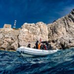 Guided diving for beginners without certification from Sorrento - What Makes This Diving Tour Stand Out