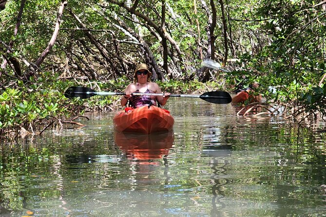 Guided Dolphin Eco Tour by Kayak & SUP - Fort Myers Beach, FL - Starting Point and Meeting Details