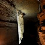 Guided Doolin Cave Tour: Experience Europe's Largest Stalactite - The Cave Experience: Passages and Formations