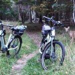 Guided Ebike Tour of Acadia National Park Carriage Roads - Breathtaking Views at Jordan Pond and Historic Bridges