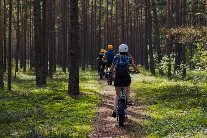 Guided Ebike Tour on Forest Roads and Trails Near Riga - Starting at Bumbu kalni Firewatch Tower with Panoramic Views