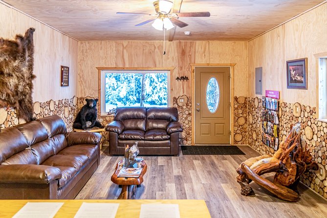 Guided Fairbanks Snowmobile Tour - Snowmobiles and Gear: Comfort and Safety