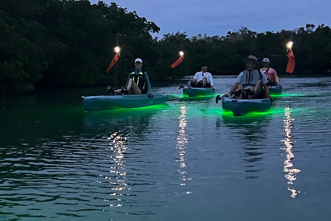 Guided Glow LED Kayak Sunset Activity in Bonita Springs - The Bright Appeal of the Glow LED Kayak Experience