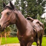 Guided Half-Day Scenic Tour - Off The Beaten Path - Driving Along the Thousand Springs Scenic Highway