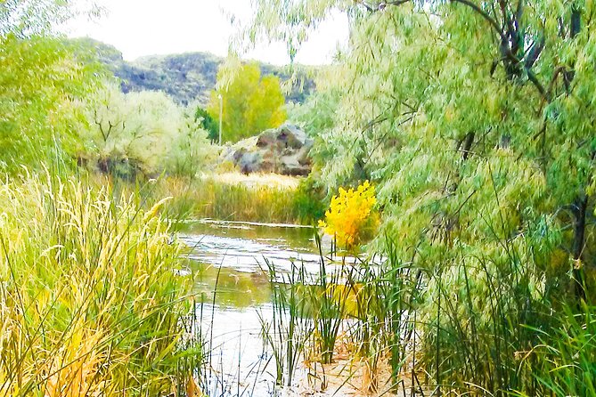Guided Half-Day Tour to Dierkes Lake & Shoshone Falls - Visiting Shoshone Falls Park and Historical Highlights