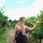 Guided Healdsburg Wine Country Bike and Wine Tasting Tour with lunch - Winery Visits and Tastings: Three Stops with Picturesque Views