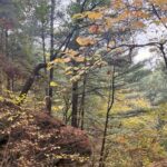 Guided Hike at Starved Rock and Matthiessen Park - Discovering the Waterfalls and Canyons at Matthiessen State Park