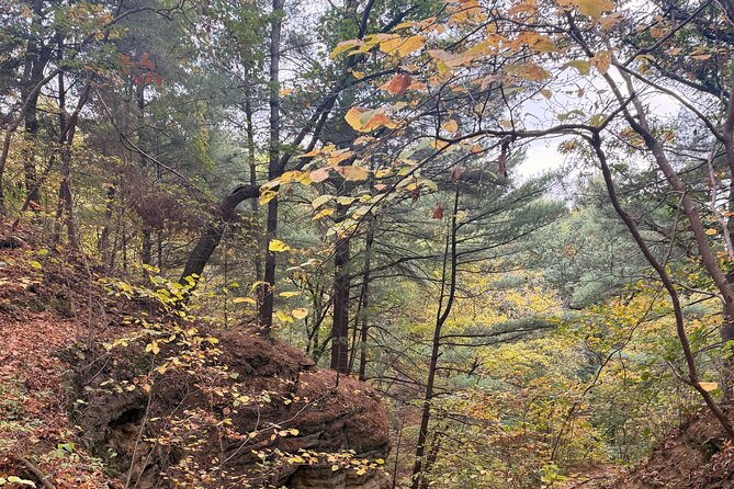 Guided Hike at Starved Rock and Matthiessen Park - Discovering the Waterfalls and Canyons at Matthiessen State Park