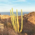 Guided Hike in Tabor Canyon - The Experience of Climbing and Exploring the Canyon