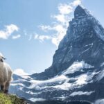 Guided Hiking Half Day in Zermatt - Exploring the Scenic Routes Chosen by Expert Guides