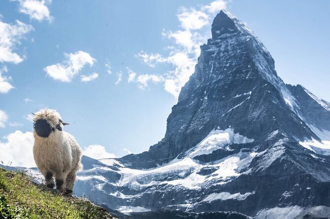Guided Hiking Half Day in Zermatt - Exploring the Scenic Routes Chosen by Expert Guides