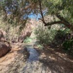 Guided Hiking Tour in AZ Ringbolt Hot Springs View Colorado River - Hot Springs and River Dip: The Key Highlights