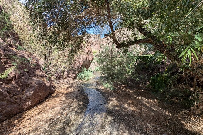 Guided Hiking Tour in AZ Ringbolt Hot Springs View Colorado River - Hot Springs and River Dip: The Key Highlights