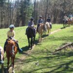 Guided Horseback Ride through Flame Azalea and Fern Forest - The Safety and Training Program