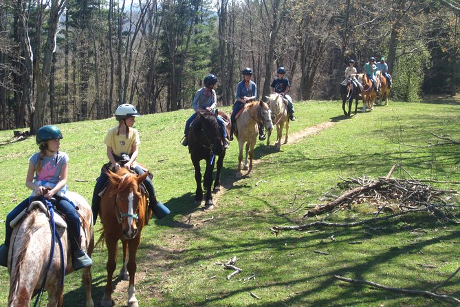 Guided Horseback Ride through Flame Azalea and Fern Forest - The Safety and Training Program