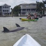 Guided Kayak Dolphin Eco Tour in Pelican Bay - Exploring Pelican Bay’s Diverse Waterways