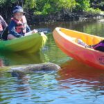 Guided Kayak Eco Tour - Bunche Beach - Exploring the Scenic Bunche Beach