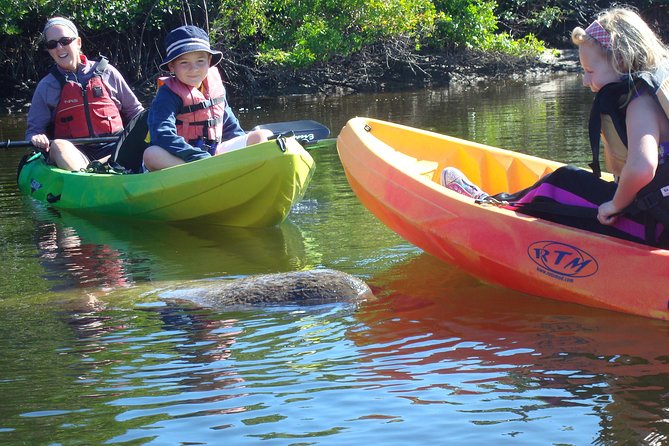 Guided Kayak Eco Tour - Bunche Beach - Exploring the Scenic Bunche Beach