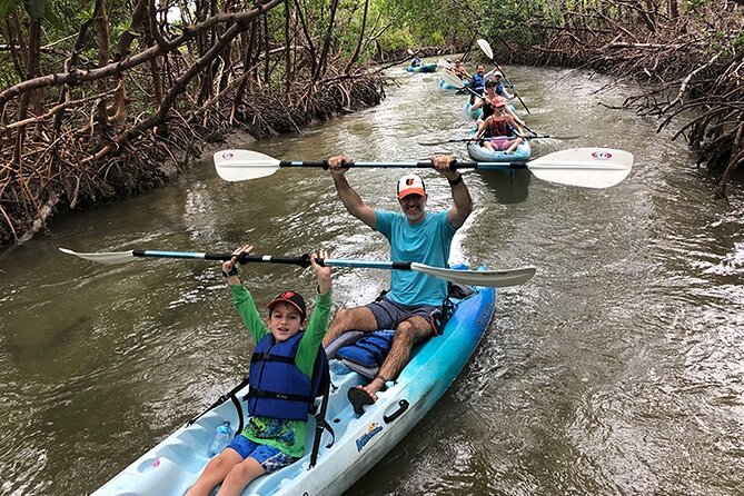 Guided Kayak Mangrove Ecotour in Rookery Bay Reserve, Naples - What Makes the Rookery Bay Kayak Ecotour Special