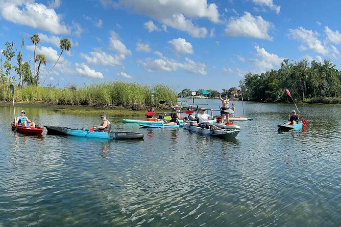 Guided Kayak Tour of Crystal Rivers Springs and Wildlife - Navigating Kings Bay and the Spring Channels
