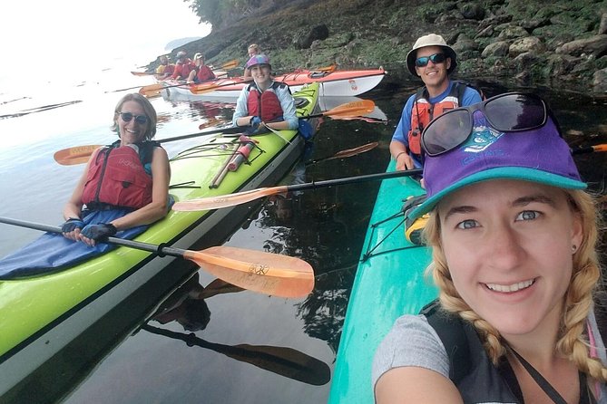 Guided Kayak Tour on San Juan Island - Exploring Griffin Bay and Marine Wildlife