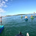 Guided Pedal Kayak Tours in Anna Maria and Bradenton - Navigating the Mangrove Tunnels of Neal Preserve and Terra Ceia Bay