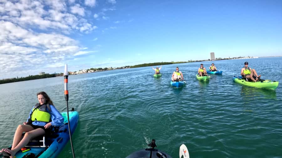Guided Pedal Kayak Tours in Anna Maria and Bradenton - Navigating the Mangrove Tunnels of Neal Preserve and Terra Ceia Bay