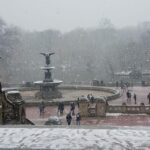 Guided Pedicab Tour in Central Park - Convenient and Flexible Tour Logistics