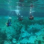 Guided Semi-Private Snorkel Tour (w/ FREE Photos!) - Meeting Point at Captain Mike’s Kayak Rentals in Crystal River