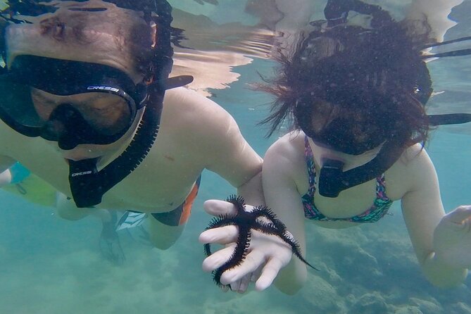 Guided Snorkel Tour for Beginners in Honolulu - The Safety and Comfort Focus of the Tour