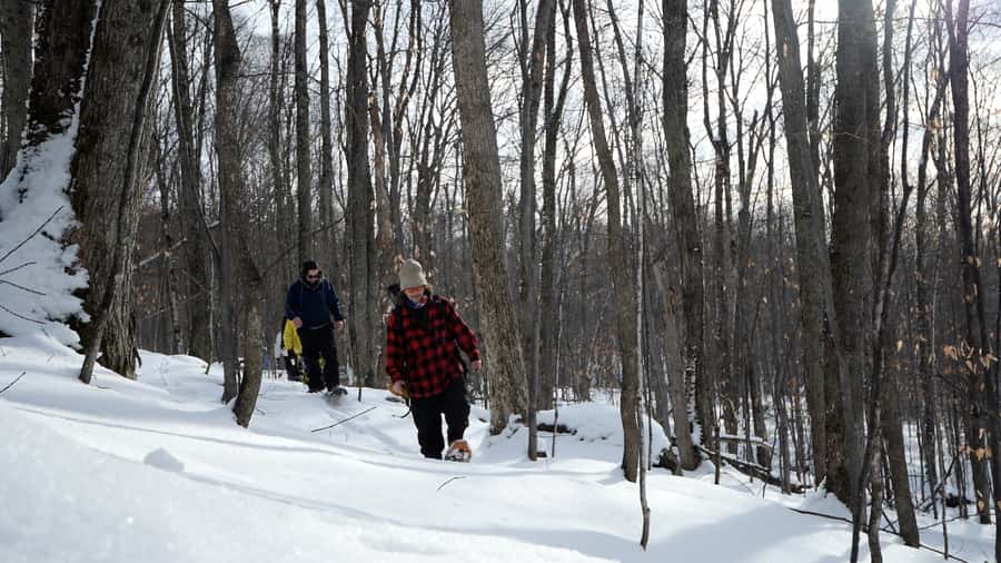 Guided Snowshoe Tour in Mont-Tremblant - Equipment and Clothing Requirements
