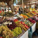 Guided Tasting of 15+ Tropical Fruits in Playa del Carmen - Starting Point at the Heart of Playa del Carmen Market