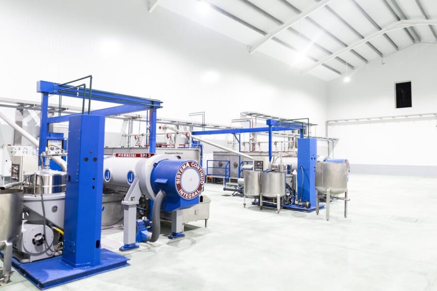 Guided tour and oil tasting at the Aceites Molisur factory - Visiting Century-Old Olive Trees and Cultivation Methods