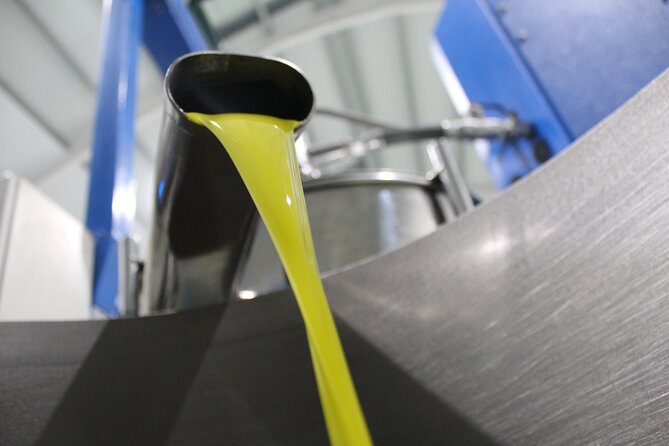 Guided tour and olive oil tasting in Alhaurin el Grande (Málaga) - Touring the Modern Production Facility and Stainless Steel Winery
