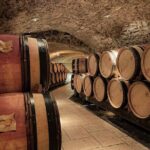 Guided tour and wine tasting Northern Rhône Valley - Wine Tasting in Chavanay: Small Wineries and Quality Wines