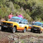Guided Tour Beyond Vineyards Cabo Girão Skywalk and 4x4 Adventure - Visiting São Vicente’s Rugged Terrain and Remote Views