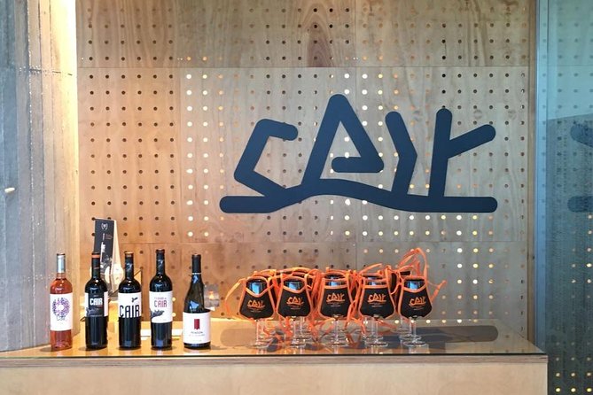 Guided tour glass in hand with wine tasting directly from the barrel - Exploring the Barrel Tasting Experience