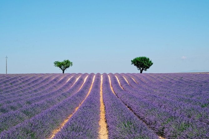 GUIDED TOUR: Lavender fields, the Gorges du Verdon - Crossing the Gorges du Loup and Its Waterfall