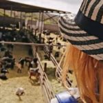 Guided Tour of Montesdeoca Cheese Factory with Cheese Tasting - Exploring the Family-Run Montesdeoca Cheese Farm