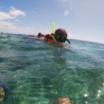 Guided Tour of Puerto Morelos Reefs with Snorkeling Experience - Convenient Hotel Pickup and Drop-Off in Cancun